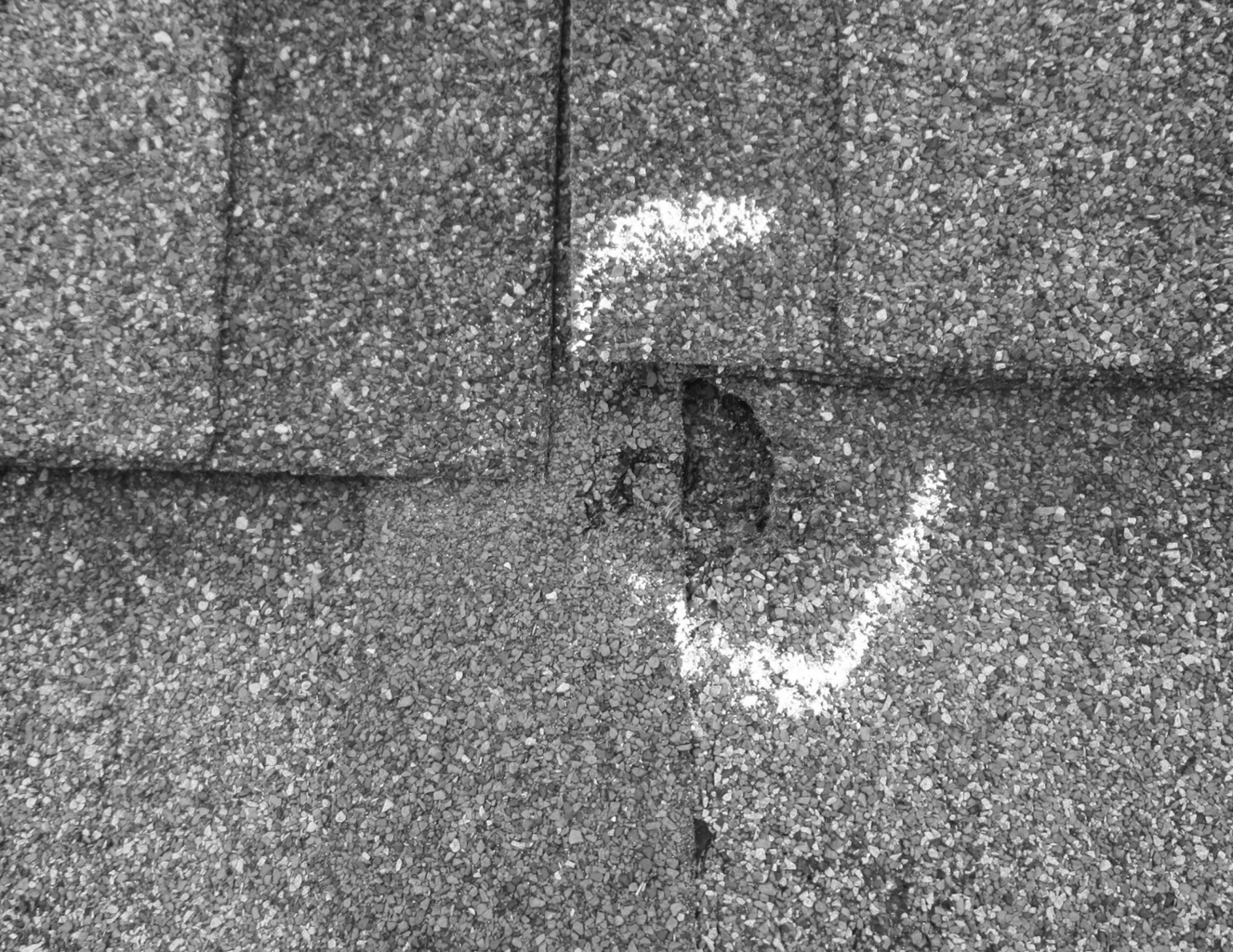 Hail damage circled on residential shingle roof